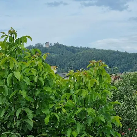 Drwala K. Karpacza Chalet
