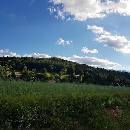Drwala K. Karpacza * Sosnowka (Jelenia Gora)