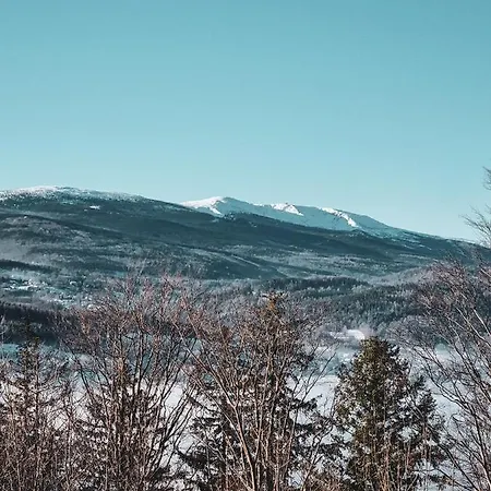 Drwala K. Karpacza Alpstuga *