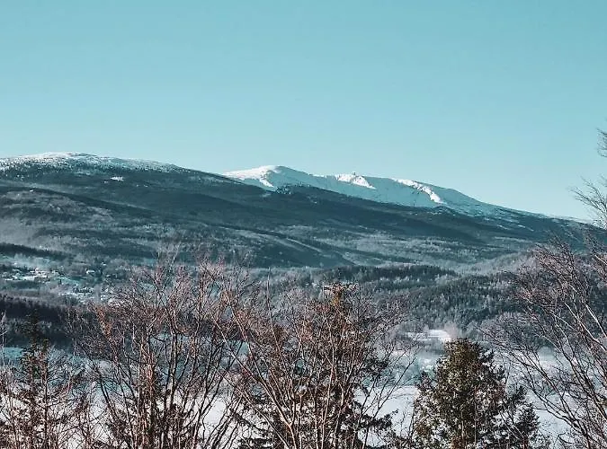 Drwala K. Karpacza 샬레 *