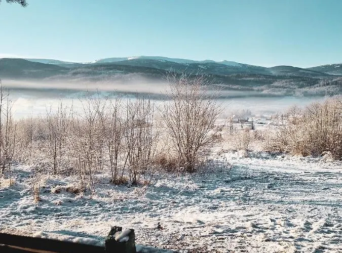 Drwala K. Karpacza * Sosnówka