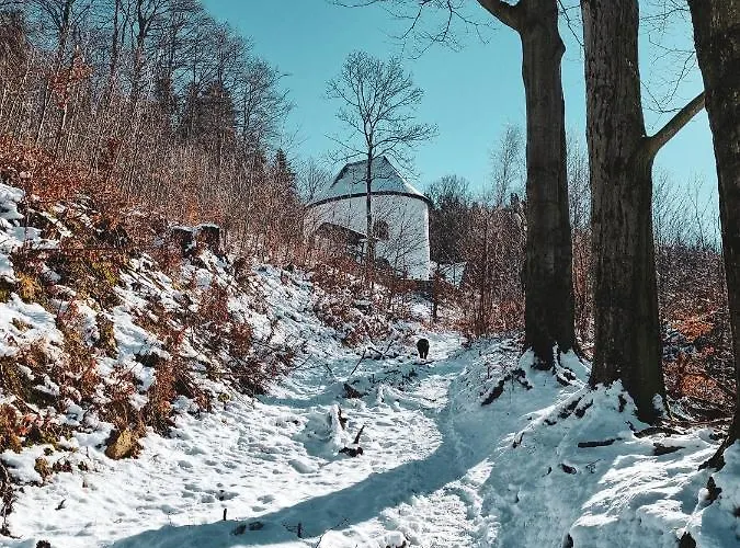 Drwala K. Karpacza Sosnówka