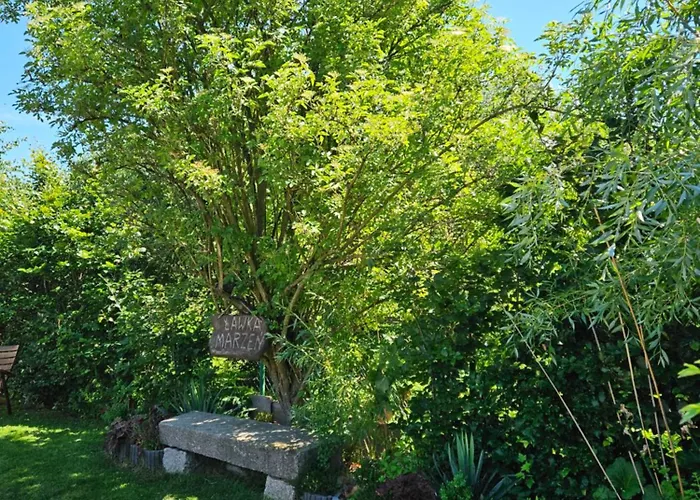 Drwala K. Karpacza * Sosnowka (Jelenia Gora)